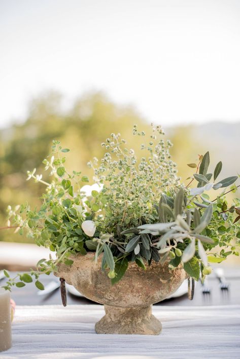 Wedding inspiration in earthy tones set amidst Tuscan olive groves | Tuscany Wedding Inspiration | Gallery | Item 44 Olive Branch Centerpiece Round Table, Tuscan Bouquet Wedding, Rustic Italian Centerpieces, Tuscan Wedding Ceremony Decor, Wedding Flowers Tuscany, Tuscan Wedding Decor Rustic Italian, Olive Branch Wedding Florals, Tuscany Table Decor, Olive Centerpiece Wedding