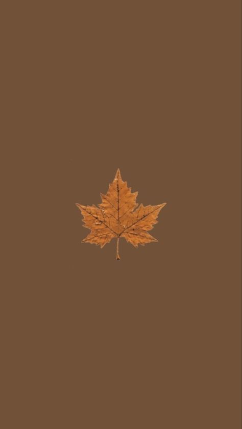 Matching Autumn Wallpapers, Autumn Wallpaper Iphone Aesthetic Simple, Early Autumn Wallpaper, Fall Theme Iphone Wallpapers, Autumn Astetic Wallpaper, Fall Theme Iphone, Brown Autumn Wallpaper, Fall Aesthetic Wallpaper Simple, Fall Leaf Wallpaper