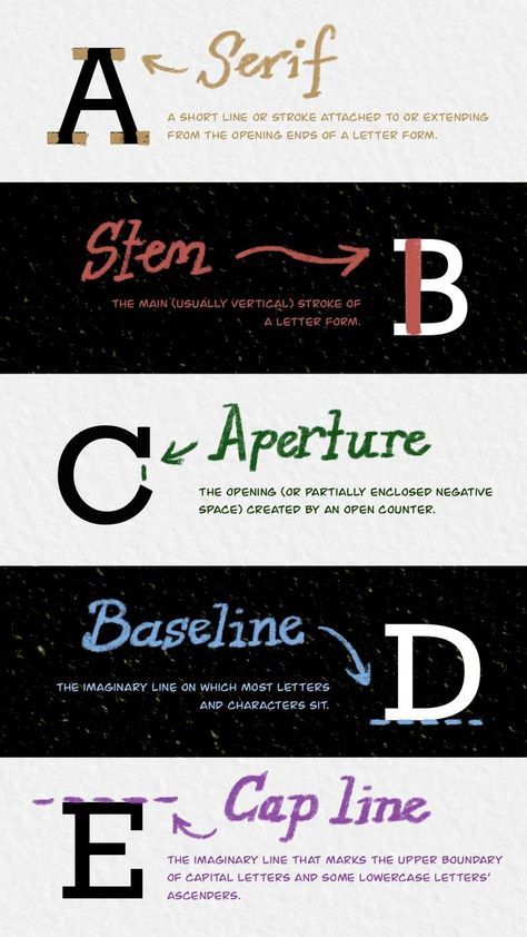 Typography Terms, Graphic Design Terms, Create Font, Typography Book, Typo Design, Hand Lettering Fonts, Letter Form, Logo Creation, Typography Graphic