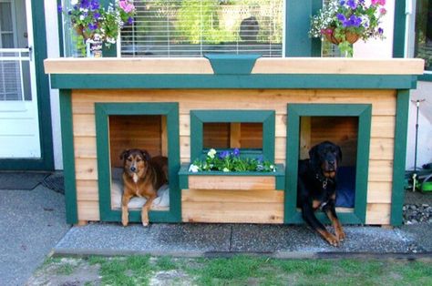 Diy Insulated Dog House, Large Dog House Outdoor, Double Dog House, Dog House With Porch, Luxury Dog House, Dog Den, Large Dog House, Outdoor Dog House, Outside Dogs