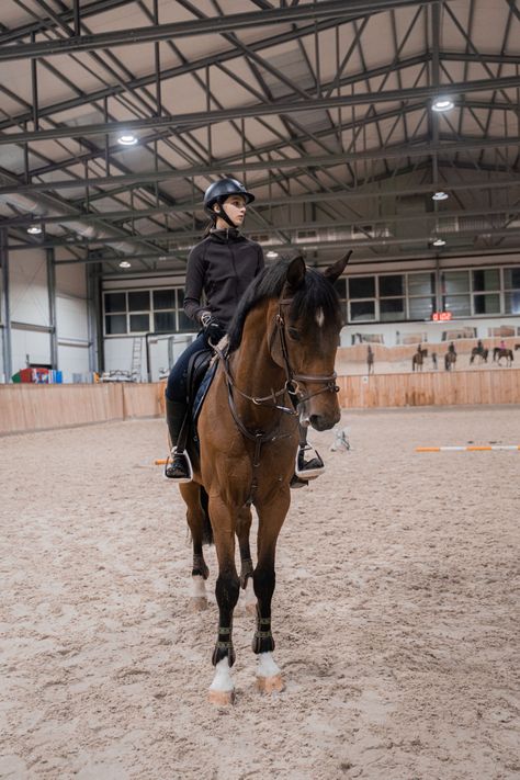 Jumping Horses, Show Jumping Horses, Bay Horse, Horse Dressage, Dressage Horses, Horse Life, Show Jumping, May 22, Dressage