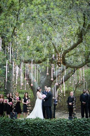 Tree hanging decor Wedding Tree Decorations, Garden Weddings Ceremony, Under A Tree, Tree Wedding, Woodland Wedding, Forest Wedding, Ceremony Decorations, Wedding Planners, Outdoor Ceremony