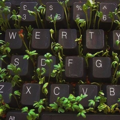 manifestingbutterflies | VSCO Keyboard, Computer, Plants, Green, White