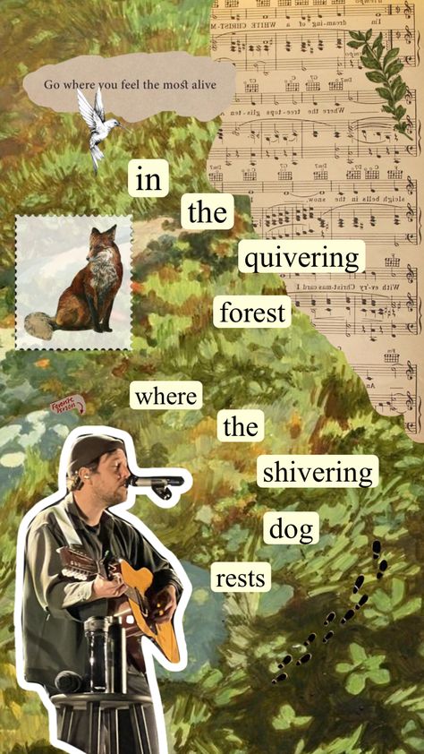 Fleet Foxes Aesthetic, Fleet Foxes Lyrics, Foxes Aesthetic, Dorm Pictures, Fleet Foxes, Fox Poster, Hozier, Folk Music, Music Tv