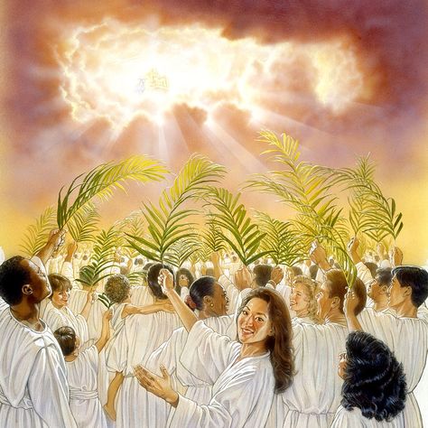 Loyal Armageddon survivors Jw Inspiration, Revelation 7, Romans 4, Prophetic Art, Ayat Alkitab, Jesus Is Coming, Book Of Revelation, Bible Prophecy, Jehovah's Witnesses