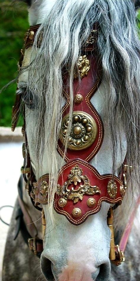 Medieval Horse, Horse Costumes, Horse Armor, Horse Equipment, Horse Bridle, Andalusian Horse, Horse Gear, Friesian Horse, Majestic Horse