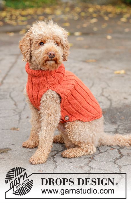 Outdoor Fun / DROPS 102-45 - Free knitting pattern Knitting Patterns For Dogs, Knitted Dog Sweater Pattern, Knitting Patterns Free Dog, Dog Sweater Pattern, Knit Dog Sweater, Dog Jumpers, Dog Clothes Patterns, Dog Sweaters, Sweater Coat