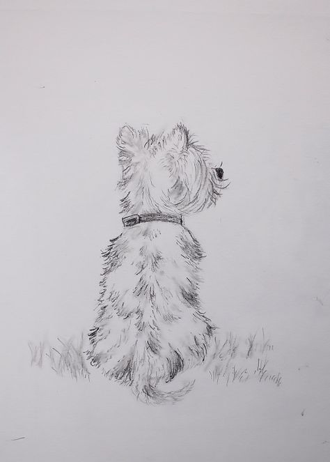 Dog Pencil Drawing, West Terrier, Colorful Hairstyles, Animal Tattoo Ideas, Purple Dog, Westie Dog, Dog Sketch, 강아지 그림, Westie Dogs