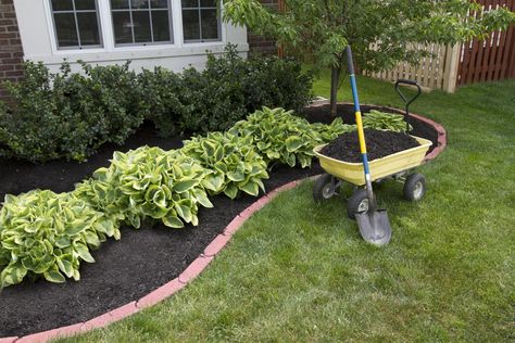 Gardening Hacks: How to Make Your Own Mulch Dye - Gardenerdy Inexpensive Landscaping, Front Yards Curb Appeal, Cheap Landscaping Ideas, Mulch Landscaping, Small Front Yard Landscaping, Cottage Shabby Chic, Low Maintenance Landscaping, Lawn Maintenance, Dry Creek