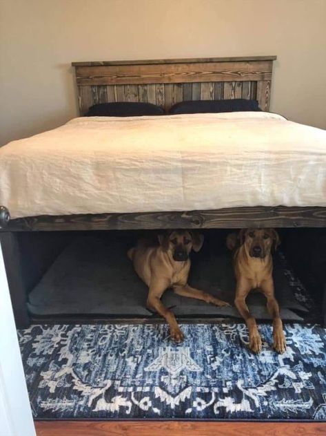 Built-in dog beds underneath people bed Design Seed, Dog Bedroom, Head Boards, Western Bedroom, Dog Kennels, Studio Apt, Dog Ideas, Air Bnb, Dog Rooms