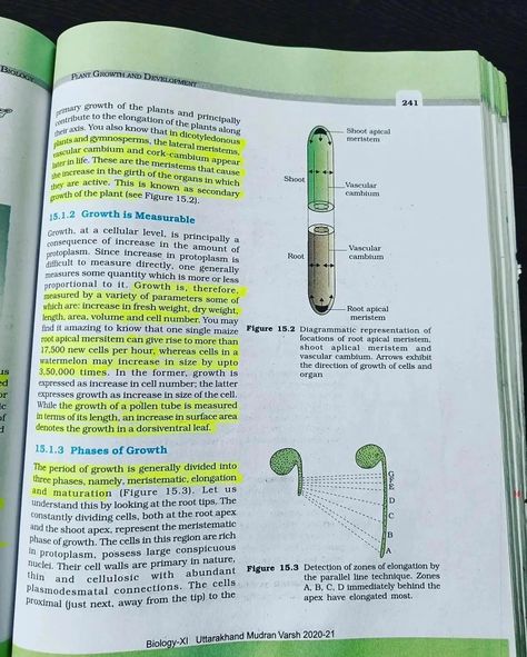 Physiology Study, Biology Plants, Human Physiology, Neet Exam, Biology Facts, Biology Notes, Growth And Development, Study Aesthetic, Cellular Level