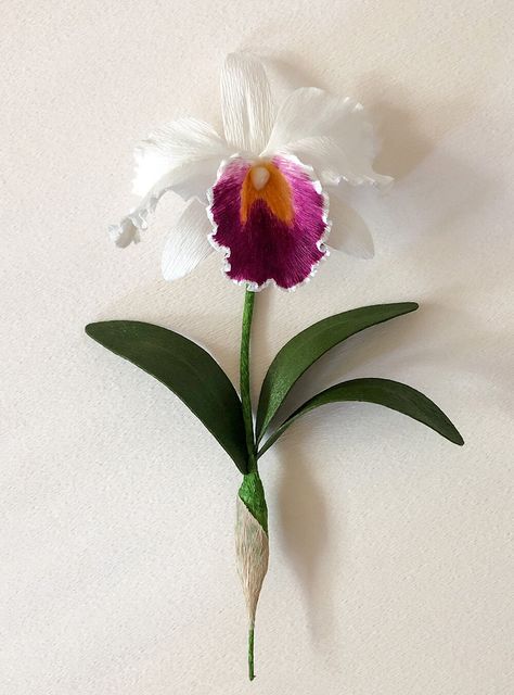 Crepe Paper Orchid, Flower Making Crafts, Paper Origami Flowers, Crepe Paper Flower, Flowers In The Attic, Paper Flower Art, Cattleya Orchid, Paper Plants, Paper Flower Crafts