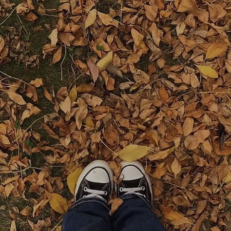 Pre-fall moments 🍂✨ Soaking up the last bits of summer with a cozy transition into sweater weather. . . . #PreFallVibes #AutumnFeels #SeasonSwitch Fall Aesthetic Pictures, Studera Motivation, Fall Mood Board, Autumn Actvities, Pumpkin Spice Season, Cozy Season, Fall Feels, Fall Porch, Fall Pictures