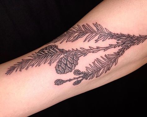 Redwood Needle Tattoo, Redwood Branch Tattoo, Red Pine Tattoo, Sequoia Tattoo, Seedling Tattoo, Sprig Tattoo, Botanical Illustration Tattoo, Tree Line Tattoo, Pinecone Tattoo