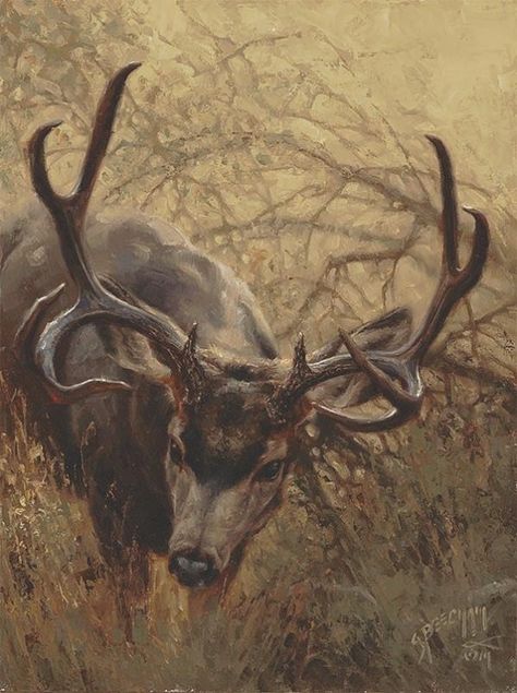 Greg Beecham, Tall Dark And Handsome, Dark And Handsome, Deer Art, Mule Deer, Wildlife Paintings, Wildlife Artists, Wildlife Art, Art Show