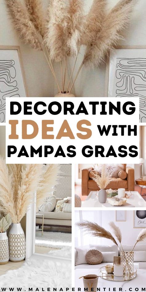 decorating ideas with pampas grass Living Room Decor Pampas, Tall Pampas Grass Decor Living Room, Pampas Feather Decor, Pampas Grass Vases, How To Decorate With Pampas, Faux Pampas Grass Decor Home, Feather Plant Decor, Decorating With Pampas Grass Plumes, Diy Pampas Grass Arrangement