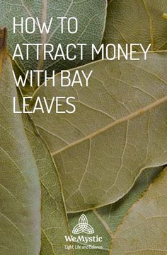 Abundance Magic, Burning Bay Leaves, Money Spells Magic, Spells That Really Work, Money Spells That Work, Good Luck Spells, Luck Spells, Design Hallway, Entrance Interior