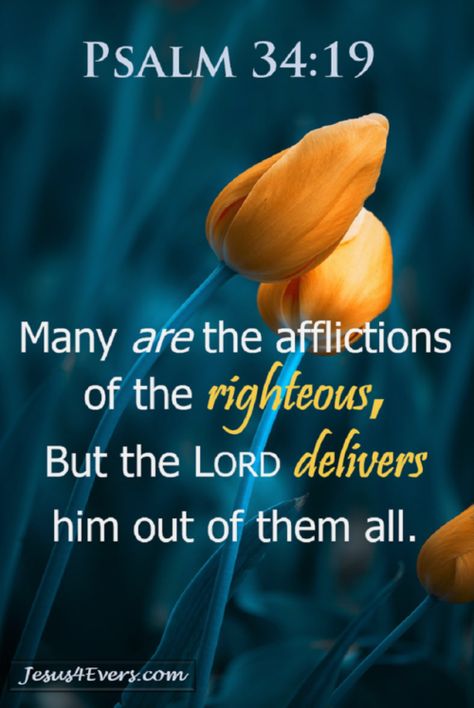 wiirocku:Psalm 34:19 (NKJV) - Many are the afflictions of the... Psalm Scriptures, Life Verses, Heaven Art, Bible Quotes Images, Psalm 34, Biblical Verses, King Jesus, Bible Teachings, Quotes God