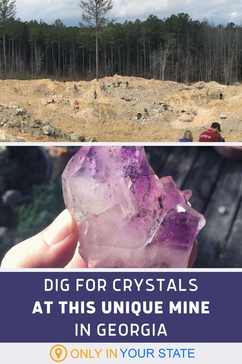 Why buy when you can DIY? Dig for beautiful amethyst crystals at this unique Georgia mine. It's a real life treasure hunt that the family can enjoy and it makes for a perfect day trip. Keep an eye out for their public dig events. Crystal Mining, Gem Hunting, Gem Hunt, Rock Identification, Rock Collecting, Fossil Hunting, Rocks And Fossils, Rock Hunting, Georgia Travel