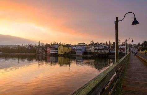 Staying safe at home while exploring Washington has never been easier. Celebrate National Travel & Tourism Week with remote travel this year. Camano Island, Fall Road Trip, Evergreen State, Whidbey Island, San Juan Islands, Practical Magic, Coastal Towns, Travel And Tourism, Pacific Northwest