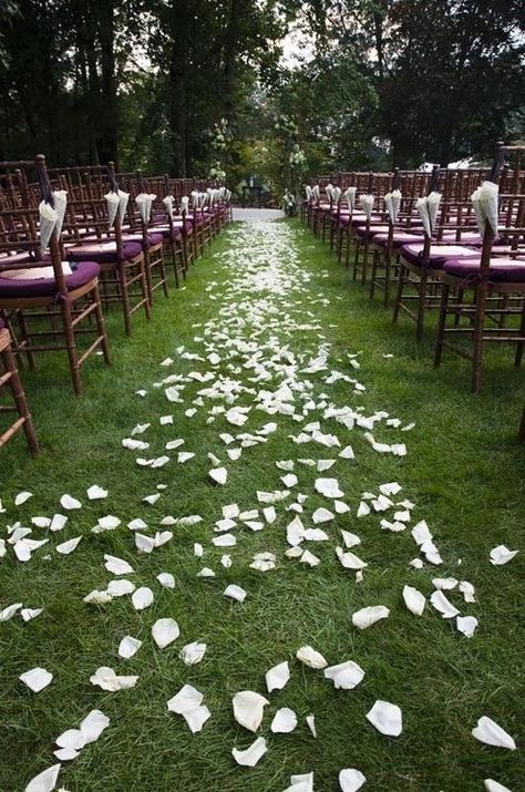 Petals down the aisle Flower Petals For Wedding, Rose Petal Aisle, Flower Petals Wedding, Rose Petals Wedding, Real Rose Petals, Aisle Flowers, Wedding Aisle Decorations, Wedding Petals, Weddings By Color