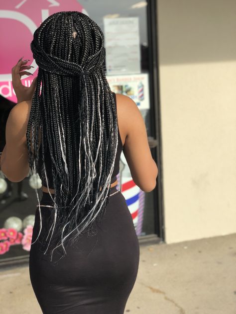 Box Braids With Grey Highlights, Silver And Black Box Braids, Braids With Grey Highlights, Black And Grey Knotless Braids, Grey Box Braids Silver, Feed In Braids Long, Black And Grey Braids, Black And Silver Braids, Long Feed In Braids