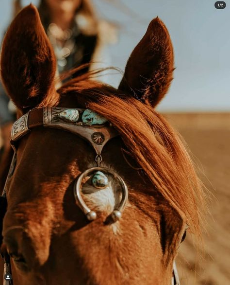 Native American Aesthetic, American Aesthetic, Native American Horses, Brand Inspiration Board, Western Photography, Assassin's Creed Valhalla, Red Dead Redemption Ii, Magic Women, Western Aesthetic