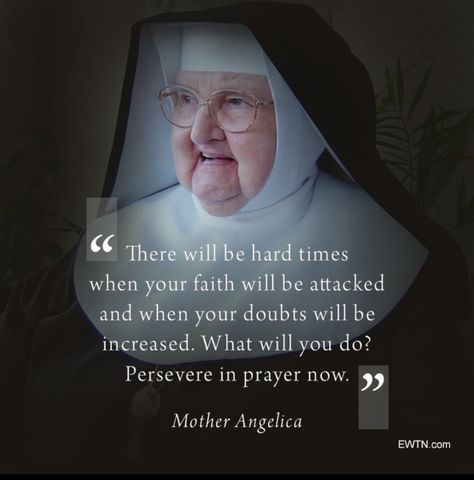 #WordsofWisdom from a woman who knew tremendous suffering. She spent her life persevering in faith and taught us to do the same! Mother Angelica, Nothing To Fear, Saint Quotes, Divine Mercy, Catholic Quotes, Catholic Prayers, Blessed Mother, Religious Quotes, Hard Times