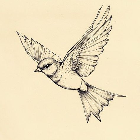 Small Birds Tattoo, For Women Tattoo Design, Women Tattoo Design, Simple Tattoos For Women, Flying Bird Tattoo, Small Bird Tattoo, Tattoo Collection, Zentangle Drawings, Wings Tattoo