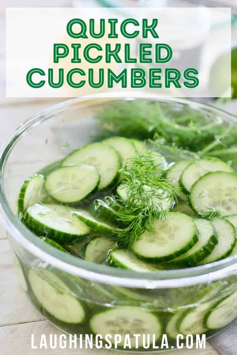 Fast Pickled Cucumbers, Quick Pickle Cucumber And Onion, Simple Pickled Cucumbers, Cold Pickled Cucumber, Cucumbers And Vinegar Recipes, Pickled Cucumber Slices, Fresh Cucumber Pickles, Pickled Mini Cucumbers, Mini Cucumber Pickles