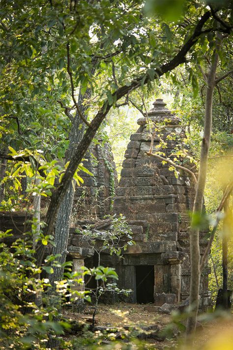 A centuries-old Gond temple is slowly being reclaimed by the forest in a corner of Satpura National Park in Madhya Pradesh, central India // photo by Philip Lee Harvey #india #satpura #temple #jungle Jungle Temple, Tsubaki Chou Lonely Planet, Temple Ruins, Amazing India, The Jungle Book, Hindu Temple, Ancient Temples, Ancient Ruins, Incredible India