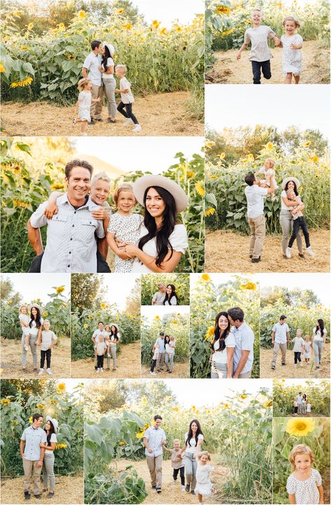 Color Palette For Sunflower Family Pictures, Sunflower Field Photoshoot Family Of 3, Family Photos Flower Field, Family Photos Sunflower Field Outfits, Sunflowers Photoshoot Photo Ideas, Sunflower Patch Photoshoot Family, Pictures With Sunflowers Photo Ideas, Sunflower Field Pictures Family, Fall Family Photos Sunflower Field