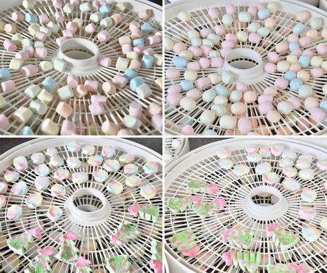 Dehydrating Marshmallows, Dehydrator Meals, Dehydrate Marshmallows, 1800 Clothing, Kitchen Restock, Homesteading Food, Dehydrating Recipes, Dehydrated Bananas, Storing Food Long Term