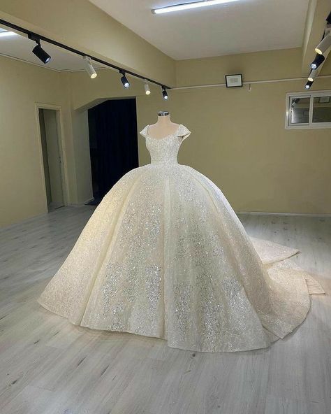 Elegant Wedding Dress Ballgown, Silver Wedding Gowns, Wedding Dress Beading, Milan Wedding, Queen Wedding Dress, Dress Beading, Glitter Wedding Dress, Beautiful Bridal Dresses, Wedding Dresses Princess Ballgown