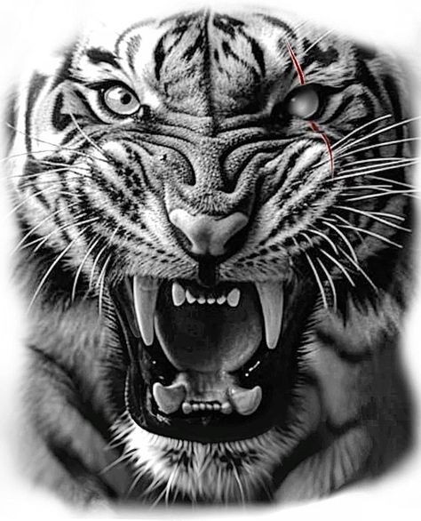 Tiger Scar Tattoo, Tigres Tattoo, Mens Tiger Tattoo, Tiger Stencil, Tiger Face Tattoo, Tiger Tattoo Sleeve, Big Cat Tattoo, Illusion Tattoos, Optical Illusion Tattoos