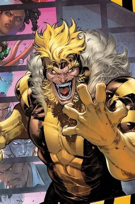 Saber Tooth Marvel, Sabretooth Marvel, Marvel Rpg, Victor Creed, Wolverine Art, Marvel Characters Art, Comic Style Art, Wolverine Marvel, Marvel Villains