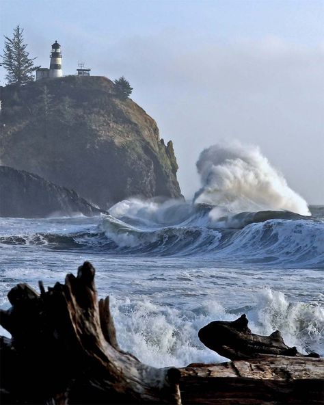 Washington - Pacific Northwest Coast - Cape Disappointment Pacific Northwest Beach Aesthetic, Washington Beach House, North Pacific Ocean, Pacific Northwest Photography, Cape Disappointment Washington, Washington Coast Aesthetic, Pacific Northwest Coast, Pacific Ocean Aesthetic, Seattle Vibes