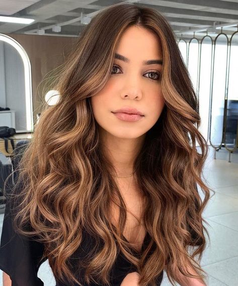 Brown Hair with Caramel Blonde Highlights Brown Hair Inspo, Brunette Hair With Highlights, Spring Hair Color, Brunette Balayage Hair, Brown Hair Balayage, Balayage Brunette, Spring Hairstyles, Summer Hair Color, Hair Color Balayage