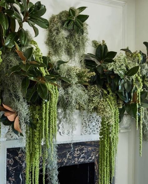 Hanging Branch Installation, Cascading Table Arrangement, Only Greenery Wedding, Spanish Moss Centerpiece, Mounted Plants, Magnolia Photo, Botanical Decoration, Moss Centerpieces, Wedding Fireplace