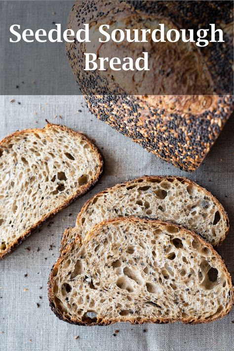 Sourdough Tips And Tricks, Sourdough Crumb Guide, Bread Troubleshooting, Sourdough Tips, Starter Sourdough, Sourdough Breads, Parmesan Bread, Sourdough Bread Starter, Starter Recipes