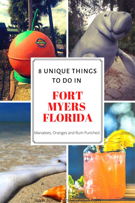 Ft Myers Florida, Fort Myers Beach Florida, Manatee Florida, Florida Travel Destinations, Cape Coral Florida, Florida Adventures, Sanibel Island Florida, Florida Trip, Manatees