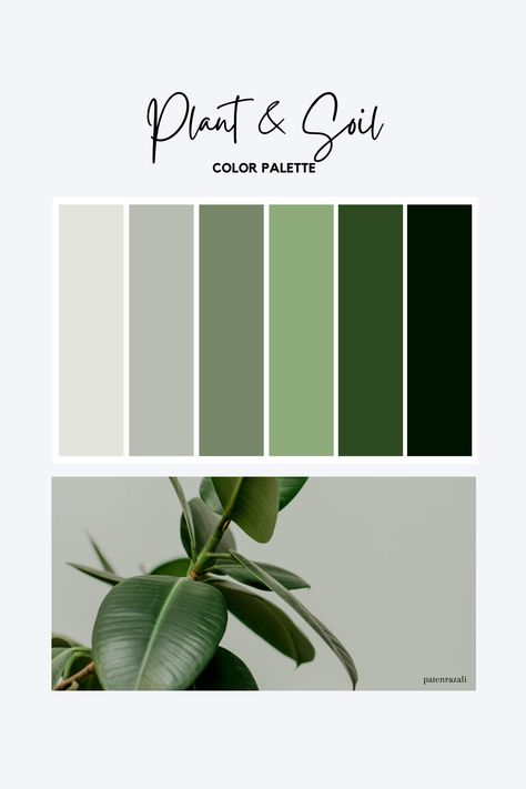 Forever my fav combo! #greencolor #color #colour #palette #colorpalette #colourpalette Website Color Schemes, Plant App, Green Branding, Website Design Inspiration Layout, Green Web, Website Color Palette, Green Palette, Seed Catalogs, Green Theme