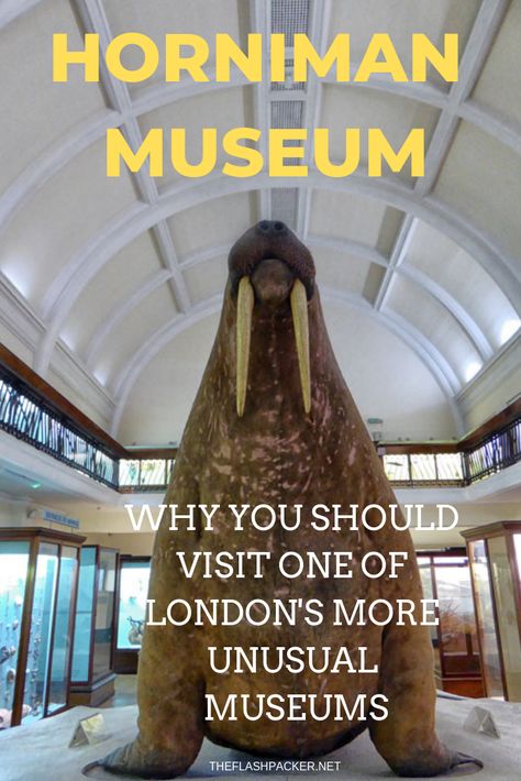 Are you looking for an unusual day out in London? Then look no further than the Horniman Museum, complete with a giant stuffed walrus. it is great for kids and adults alike.  #london #children #famillytrips #england #uk #daysout #travel #traveltips #travelnews #travelguides #travelplanning #traveltheworld #howtotraveltheworld #destinations  #worldtravel #travelblogs #travelsites Horniman Museum, Days Out In London, London Cheap, Family Vacation Spots, Uk Trip, England Trip, London Shopping, Travel Inspiration Destinations, England London