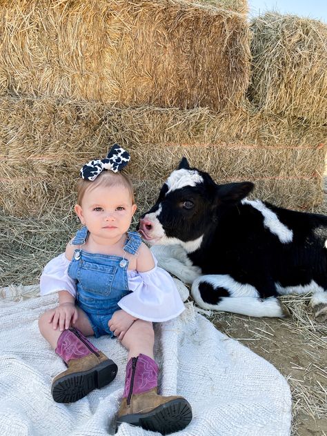 6 Month Cowgirl Pictures, One Year Old Cow Photoshoot, Cow Themed Photo Shoot, Calf Photoshoot, Holy Cow Im One, Second Birthday Photos, Cowgirl Pictures, Cow Photos, Horse Birthday Parties