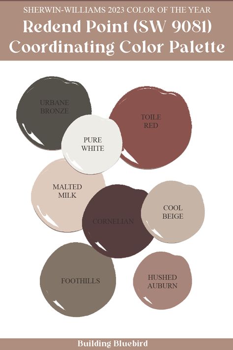 Sherwin Williams Redend Point, Redend Point, Neutral Kitchen Colors, 2023 Color Of The Year, Brown Paint Colors, Holistic Diet, Neutral Kitchen, Sherwin Williams Colors, House Color Palettes