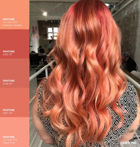 Balayage Grey, Coral Hair Color, Peachy Pink Hair, Peach Hair Colors, Coral Hair, Copper Balayage, Creative Hair Color, Peach Hair, Living Coral