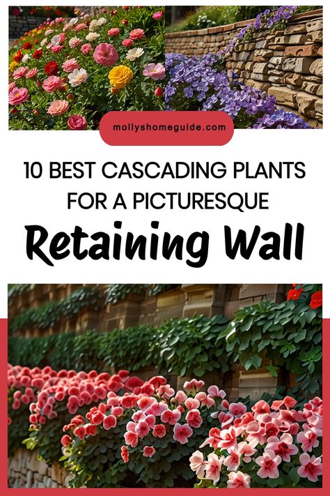 Discover the best flowers for retaining walls that will add beauty and charm to your outdoor space. From cascading plants to vibrant blooms, find the perfect plants for creating a stunning wall garden. Whether you're looking for versatile options or specific recommendations, these retaining wall flowers offer variety and visual appeal. Enhance your landscape with cascading plants for walls that bring a touch of nature to any setting. Tiered Retaining Wall Landscape, How To Decorate A Retaining Wall, Trailing Perennials Retaining Walls, Retaining Wall Planting Ideas, Retaining Wall Plants Landscaping, Retainer Wall Landscaping, Landscaping With Retaining Wall, Cascading Landscape, Retaining Wall Plants