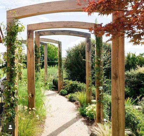 Walkway Arch, Garden Arches, Sunken Garden, Garden Entrance, Back Garden Design, Garden Arbor, Outdoor Gardens Design, Beautiful Flowers Garden, Garden Pathway