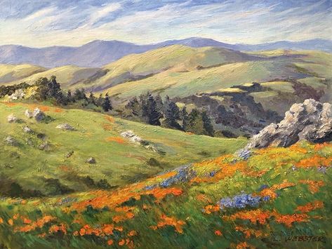 Coleman Valley Road Poppies & Lupine by LaRhee Webster, Oil, 12 x 16 Clay Painting, Large Landscape Painting, Horizontal Painting, Valley Landscape, Valley Road, California Landscape, Mark Cross, Painted Cakes, Impressionism Art