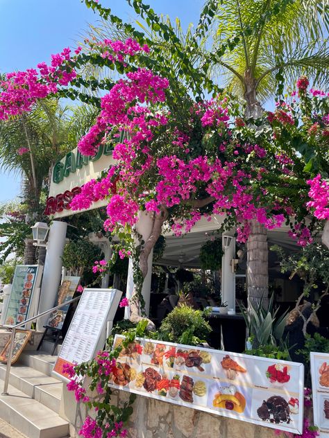 #ayianapa #cyprus #vacation #pinkflowers #restaurant #summer Ayia Napa Cyprus Nightlife, Aiya Napa Cyprus, Ayia Napa Aesthetic, Aiya Napa, Cyprus Aesthetic, Insta Dump, Ayia Napa Cyprus, Nissi Beach, Cyprus Holiday